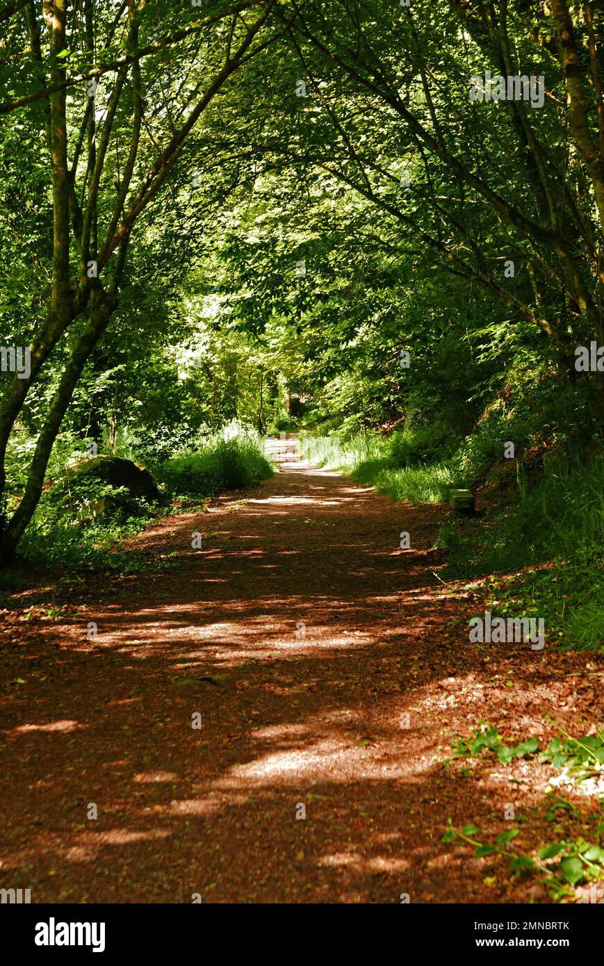 Promenade du Bois d'Amour; Fluss Aven, Pont-Aven, Finistere, Bretagne, Bretagne, Frankreich, Europa Stockfoto