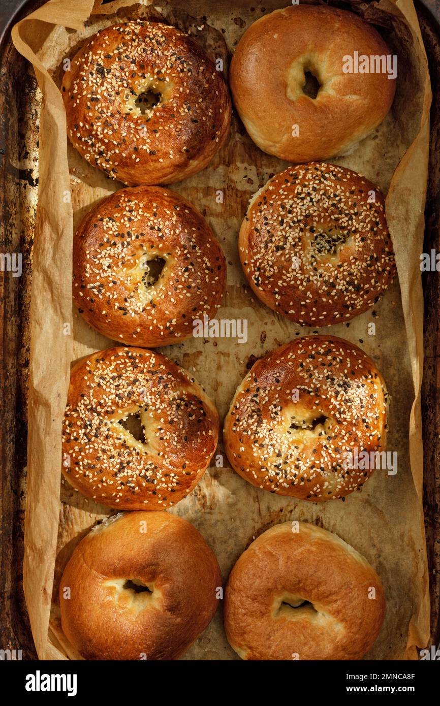 Vollformathintergrund mit frisch gebackenen Bagels auf Backpapier. Frische und knusprige Bagels mit Sesamsamen. Jüdisches Speisekonzept. Stockfoto