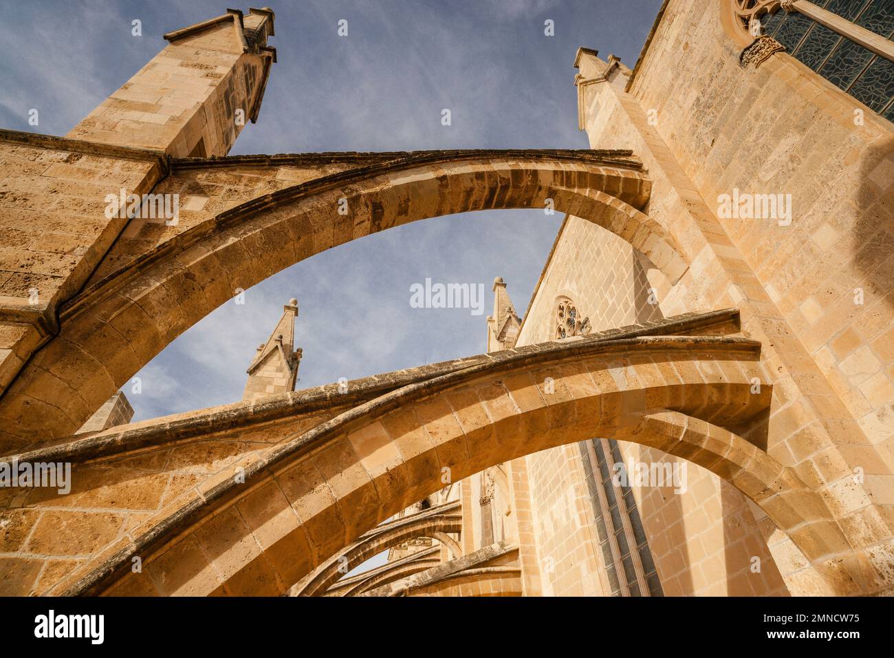 Fliegende Stützpfeiler, Kathedrale von Mallorca , 13. Jahrhundert, historisch-künstlerisches Denkmal, Palma, mallorca, balearen, spanien, europa Stockfoto