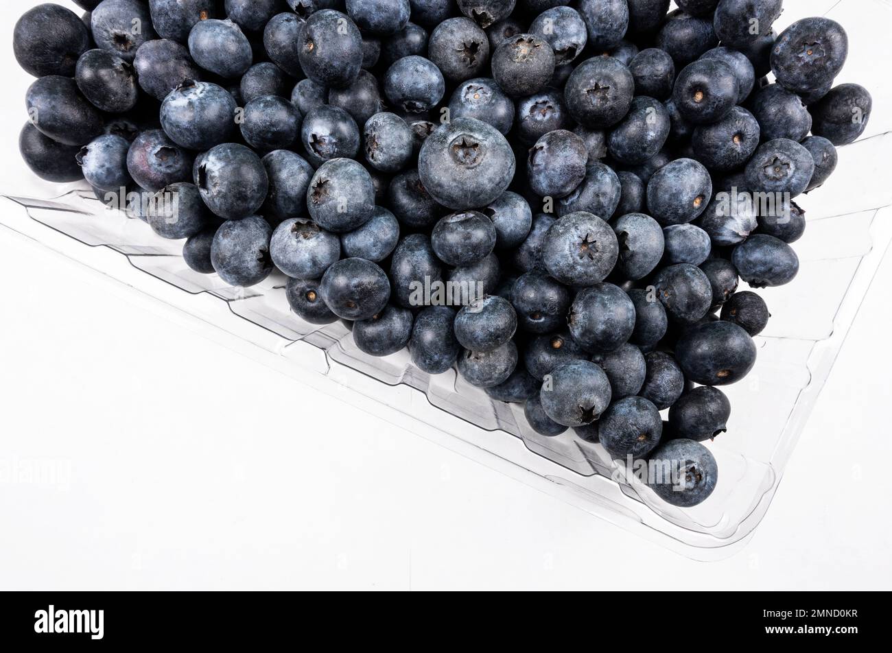 Kunststoffbehälter mit Blaubeeren auf weißem Hintergrund Stockfoto