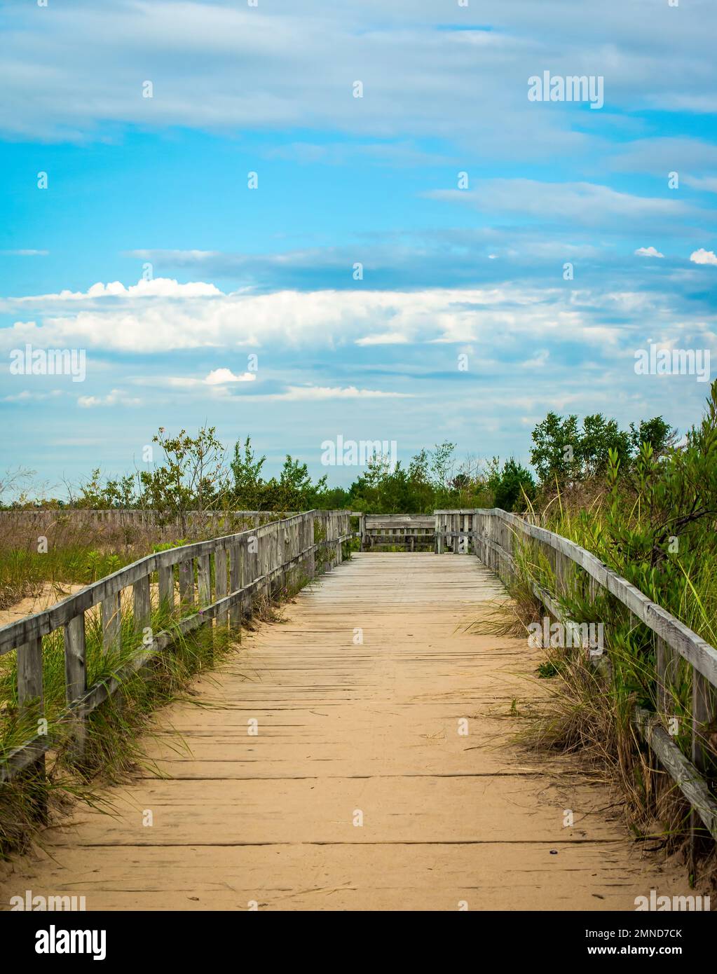 Maßgeschneiderte Aussichtsplattform für den Blick auf die Landschaft von Michigan Stockfoto