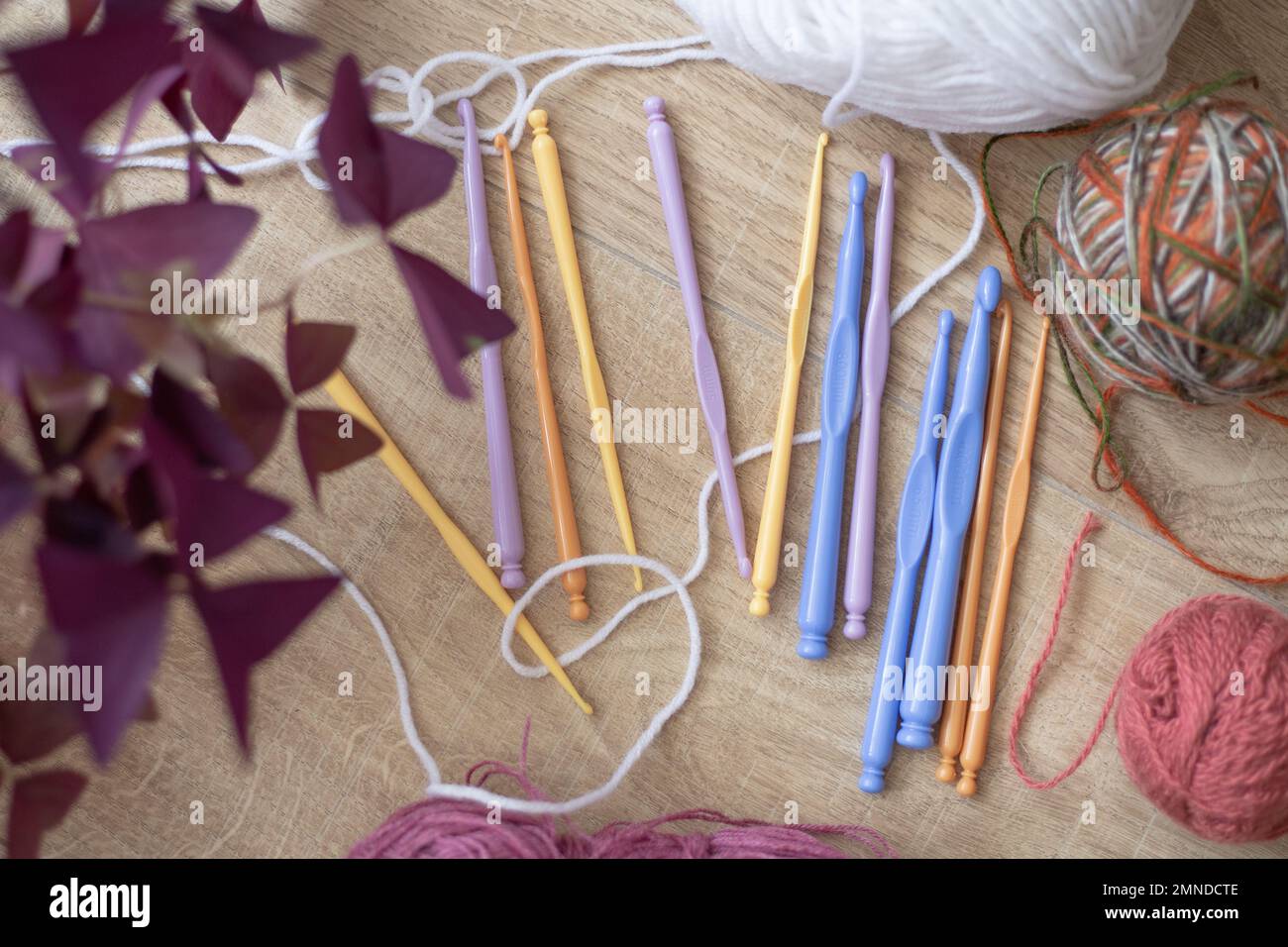 Draufsicht auf verschiedene bunte Häkelhaken aus Kunststoff in der Nähe von Wollkugeln, lila Zimmerpflanzen auf Holztisch. Handwerk. Stockfoto