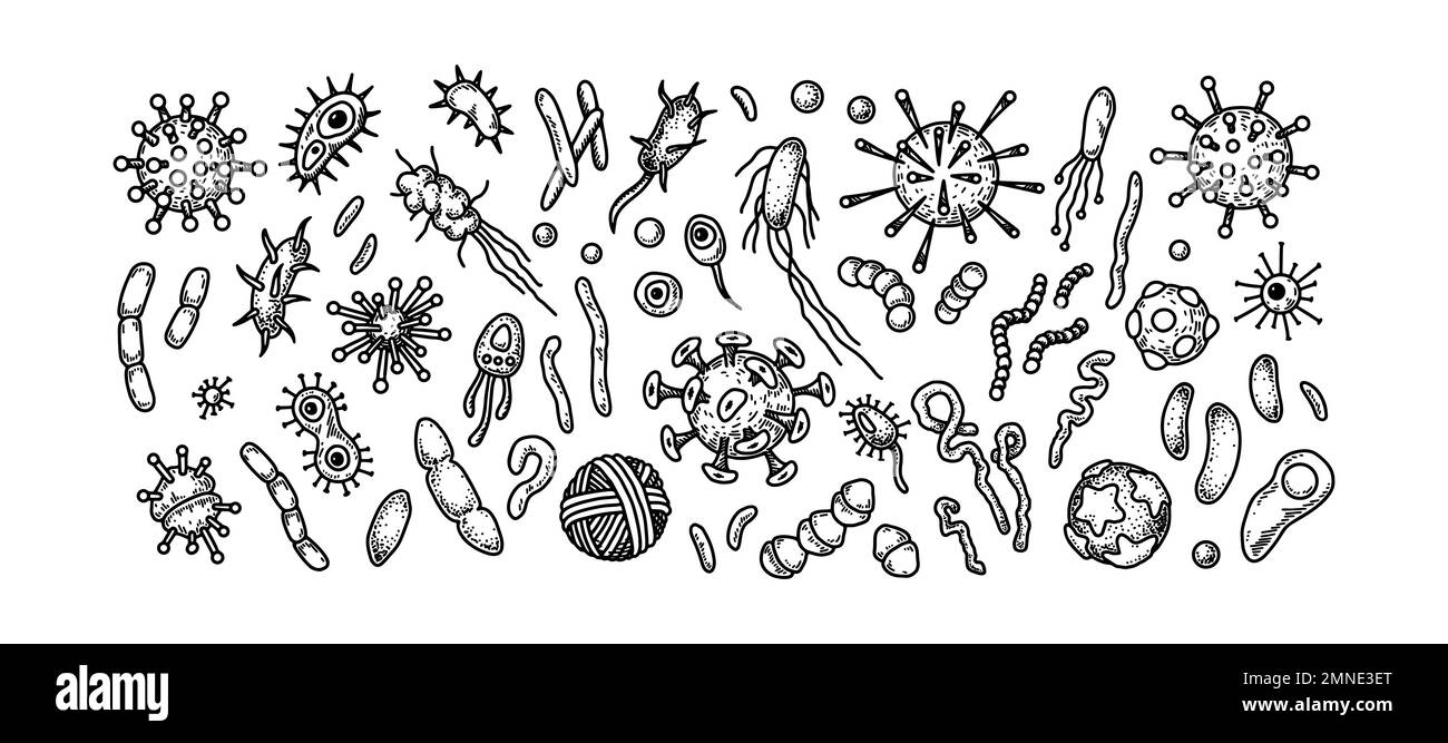 Gruppe von Viren, Bakterien und anderen Mikroorganismen. Wissenschaftliche Vektordarstellung im Skizzenstil Stock Vektor