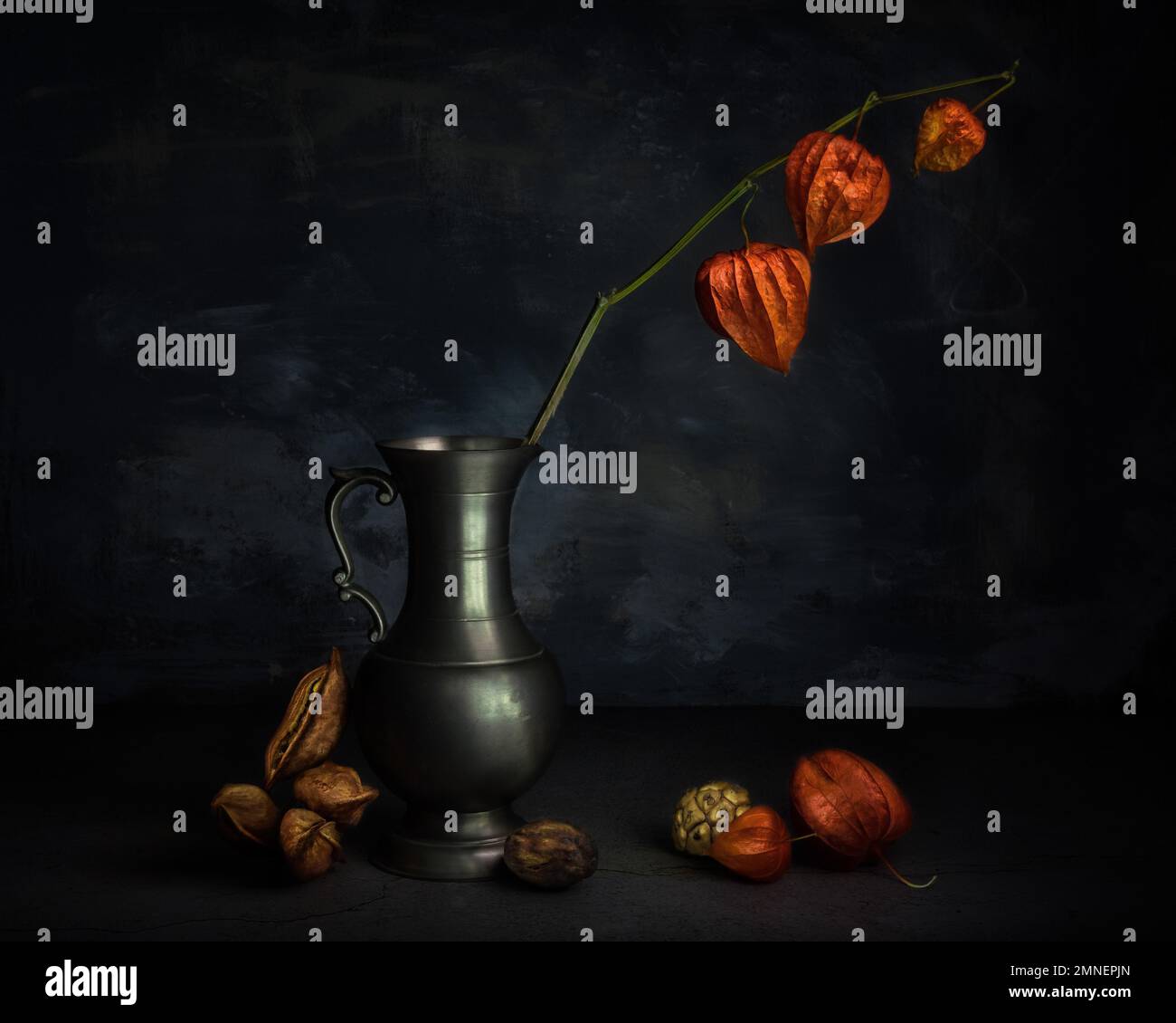 Stille Leben mit Physalis in Zinnkrug, getrocknete Früchte, Studioaufnahme, dunkler Hintergrund Stockfoto