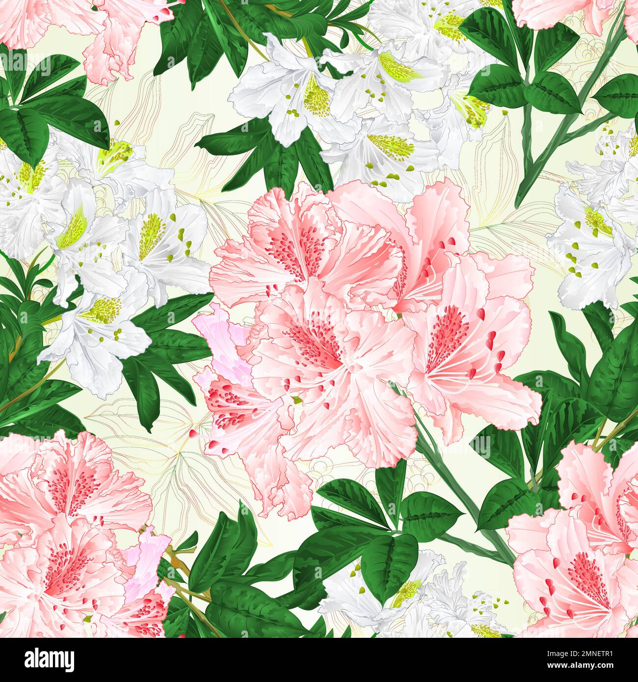 Nahtlose Textur Zweige weiß und rosa Blumen Rhododendren Bergstrauch Natur Hintergrund vintage Vektor Illustration Hand zeichnen Stock Vektor