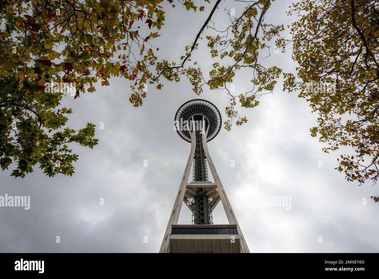 Space Needle mit Bäumen in Herbstblättern, Seattle, Washington, USA Stockfoto