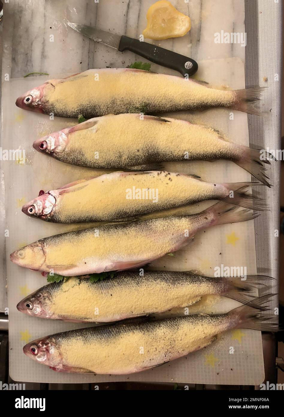 Sechs frische Fische, mit Brotkrumen, Zubereitung von Forellen zum Abendessen Stockfoto