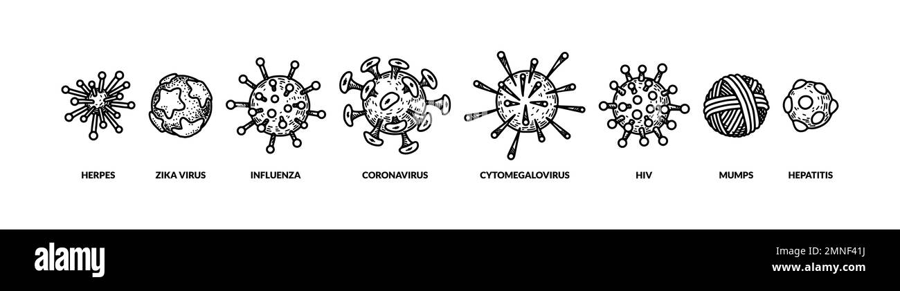 Satz von Hand gezeichnete verschiedene Arten von Viren. Vektordarstellung im Skizzenstil. Realistische wissenschaftliche Zeichnung Stock Vektor