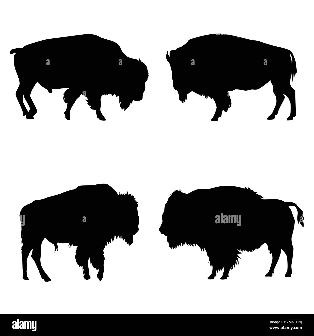 Set von American Bison Silhouettes Vector auf weißem Hintergrund Stock Vektor