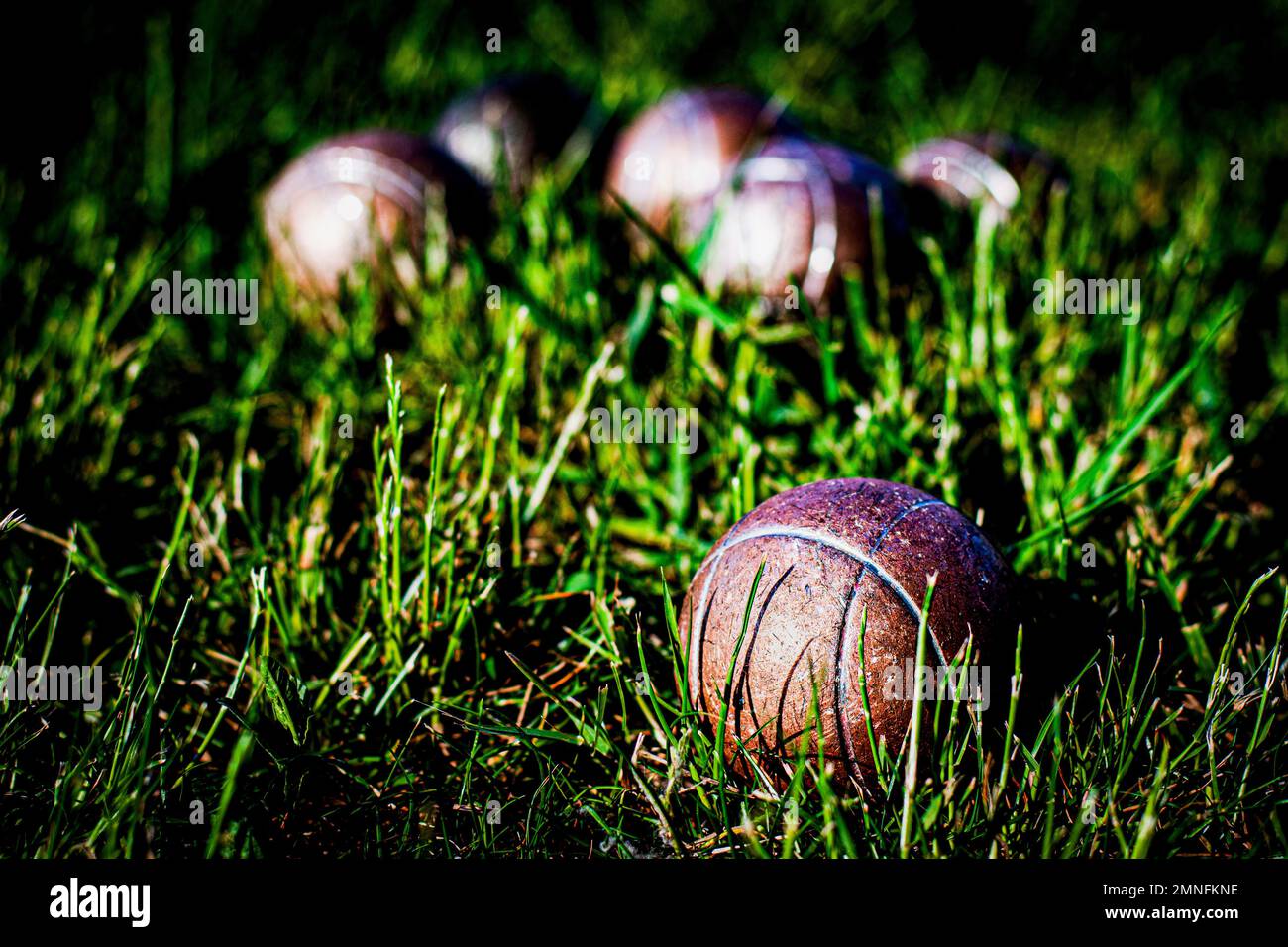 Petanque (Boule)-Bälle in grünem Gras Stockfoto