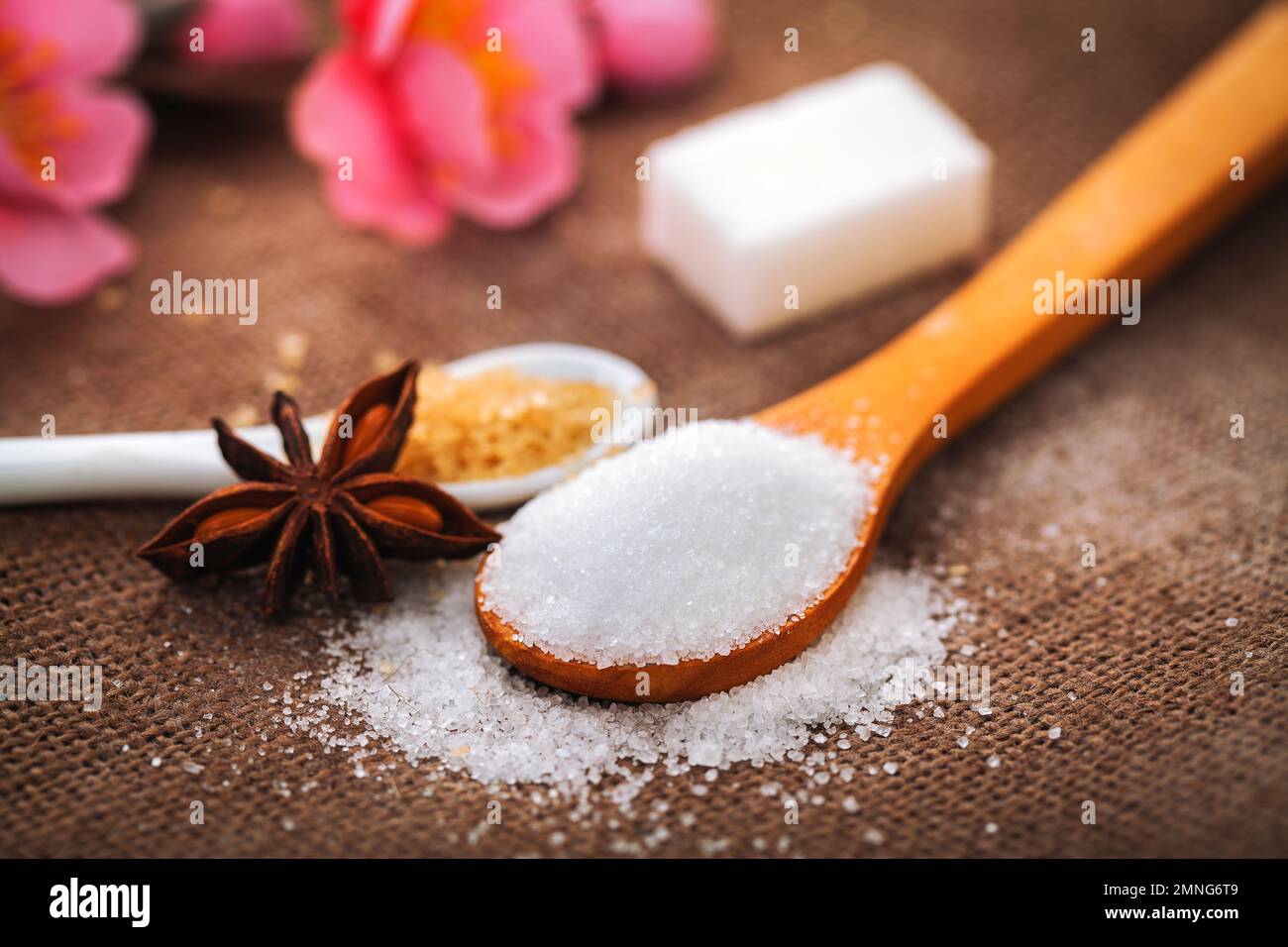 Raffinierter Weißzucker und brauner Zucker Demerara Mauritius und Anis auf Holzlöffel. Stockfoto