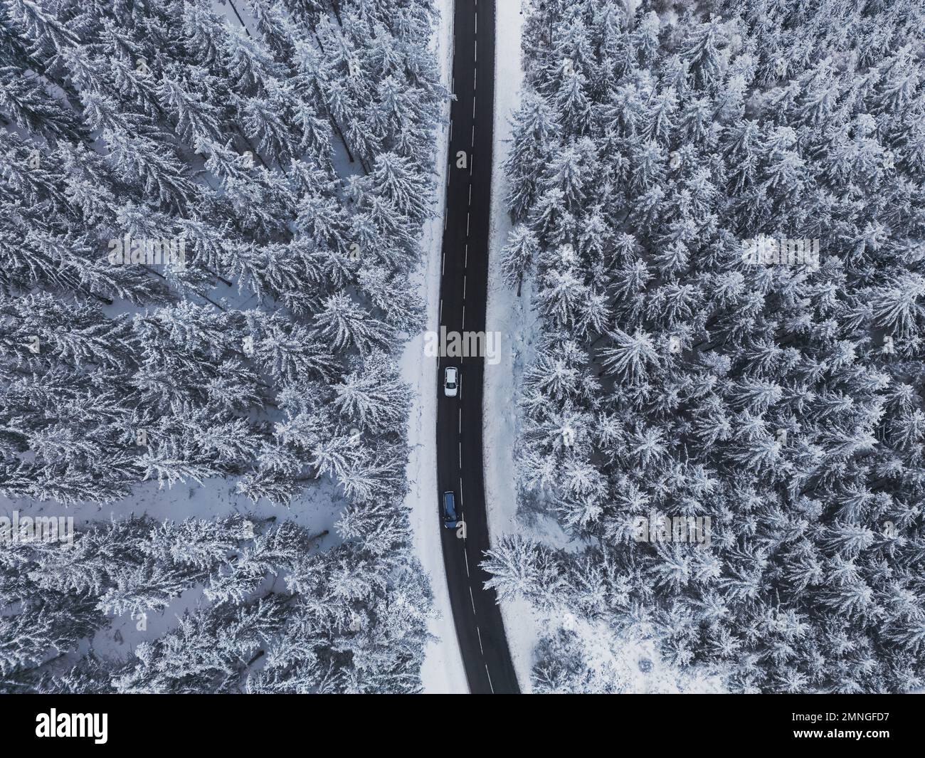Schneebedeckte Bäume im Wald und Autos an der Straßenlinie in den Bergen. Winterlandschaft in den Bergen. Panoramafoto der Luftdrohne. Stockfoto