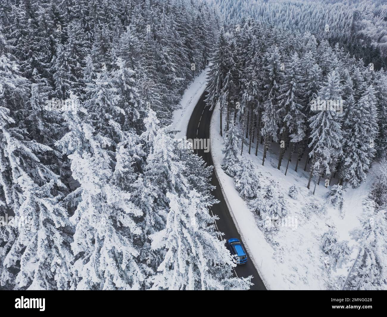 Schneebedeckte Bäume im Wald und blaues Auto an der Straßenlinie in den Bergen. Winterlandschaft in den Bergen. Panoramafoto der Luftdrohne. Stockfoto
