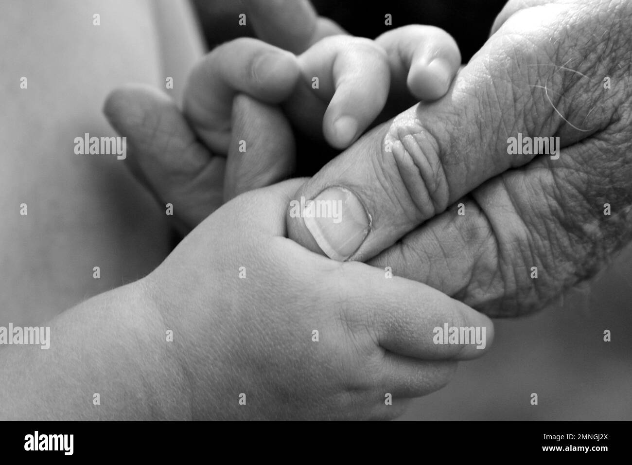 Säuglingshand, die die Hand des älteren Mannes hält Stockfoto