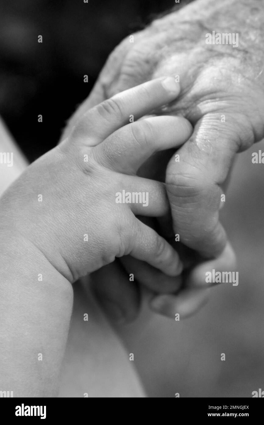 Säuglingshand, die die Hand des älteren Mannes hält Stockfoto