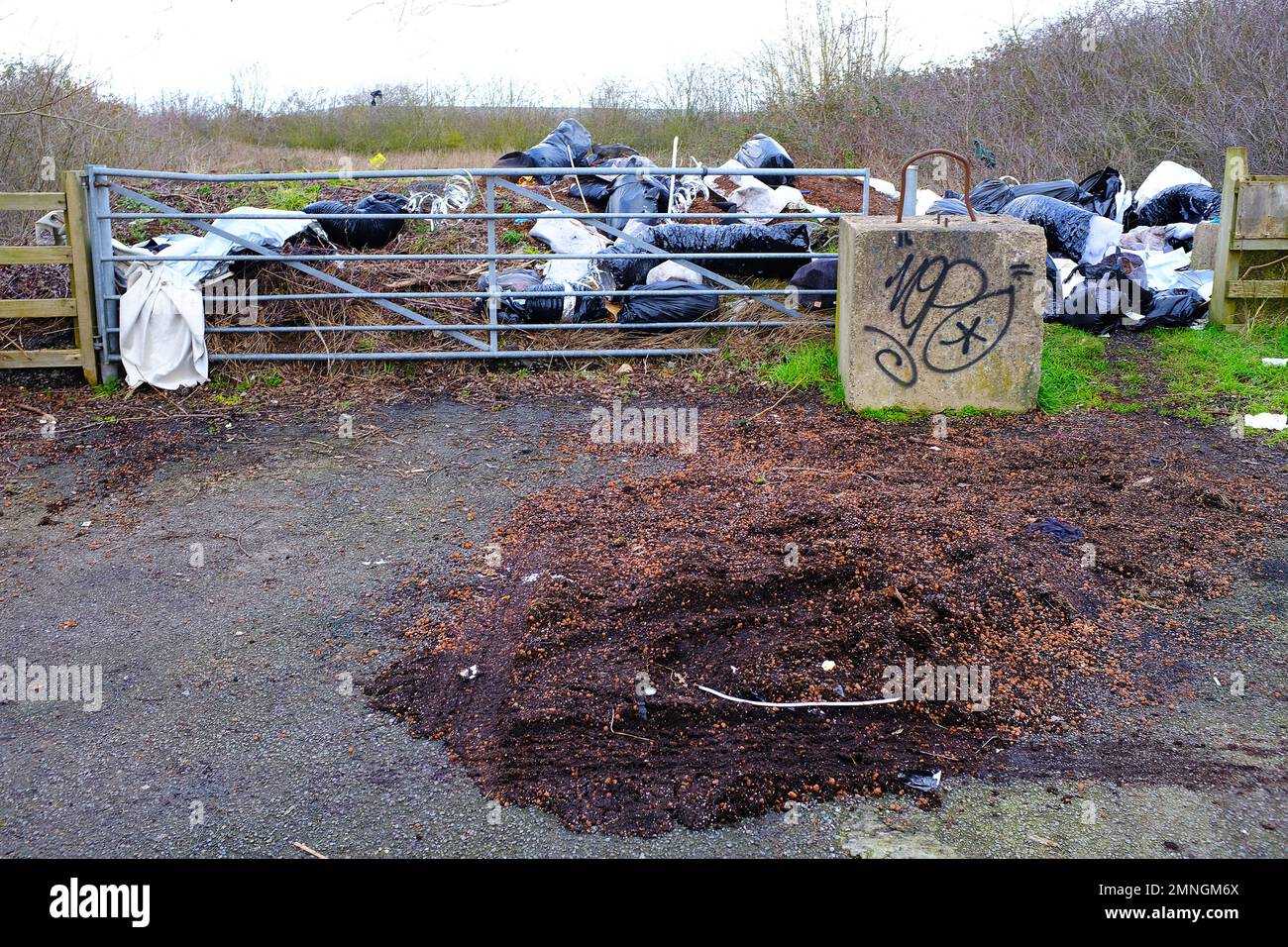 Müllsäcke mit Fliegenspitze in einem ländlichen Rastplatz Stockfoto