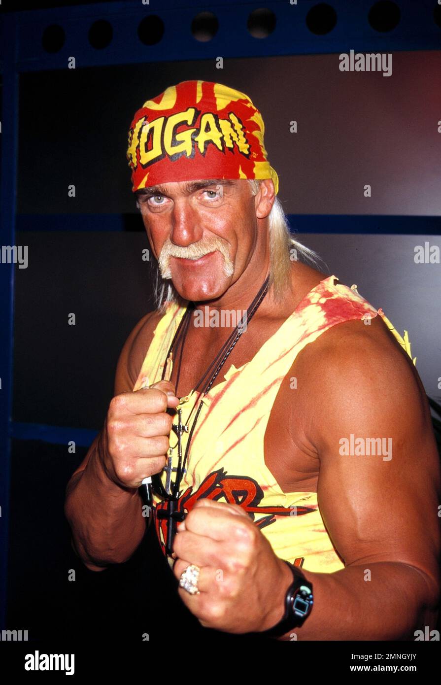 Hulk Hogan soll nach Rückenoperationen den Unterkörper nicht fühlen. HULK HOGAN JAN 1996 N.A.T.P.E. TV CONVENTION LAS VEGAS Gutschein: Walter McBride/MediaPunch Stockfoto