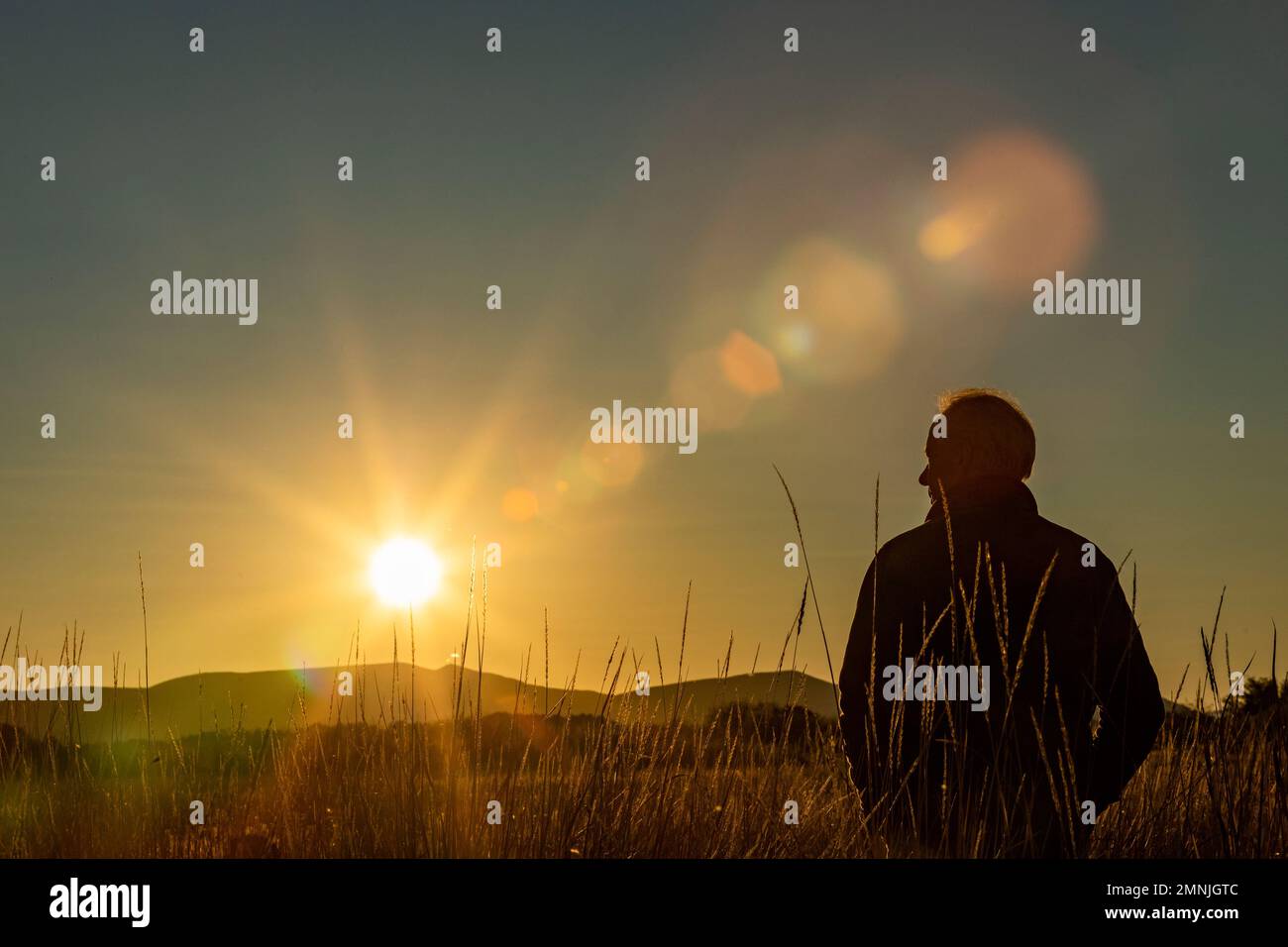 Silhouette des Menschen im Feld bei Sonnenuntergang Stockfoto
