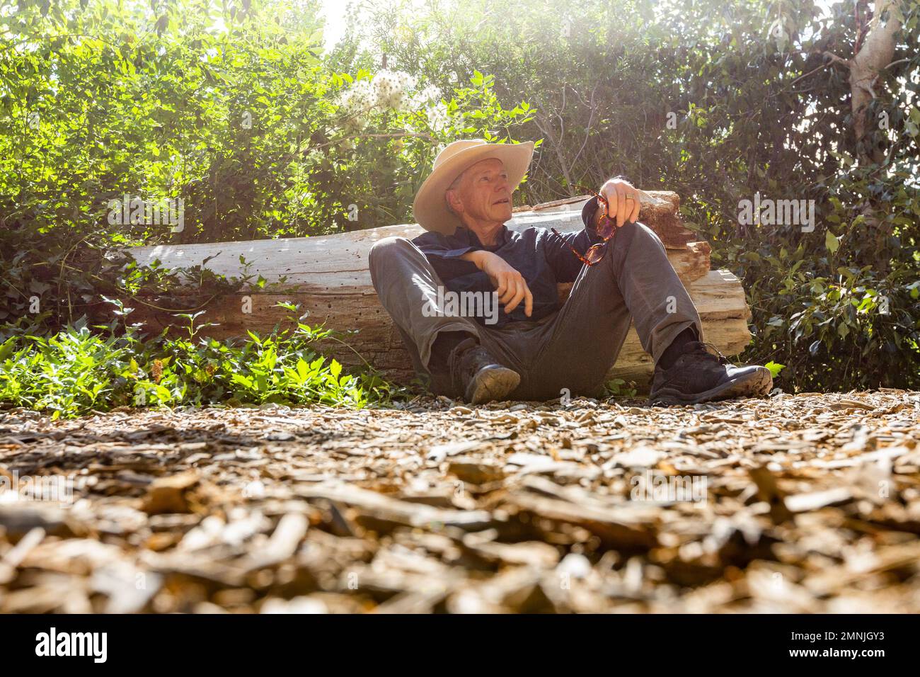 Ein älterer Mann ruht sich neben dem umgestürzten Baum aus Stockfoto