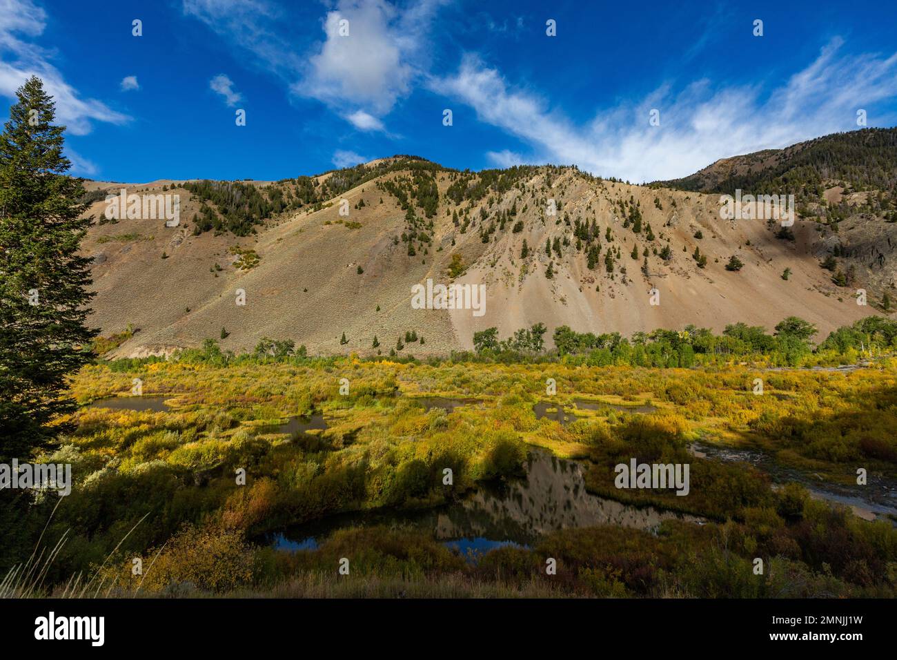 USA, Idaho, Sun Valley, Biberteiche im Tal Stockfoto