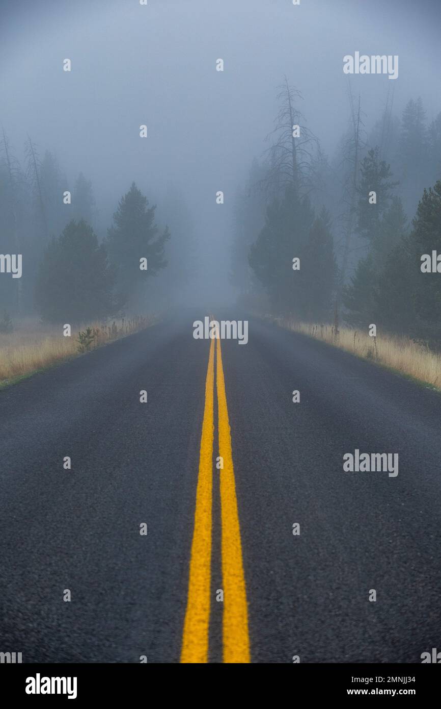 USA, Idaho, Stanley, die doppelt gelb eingerahmte Autobahn führt in nebligen Wald Stockfoto
