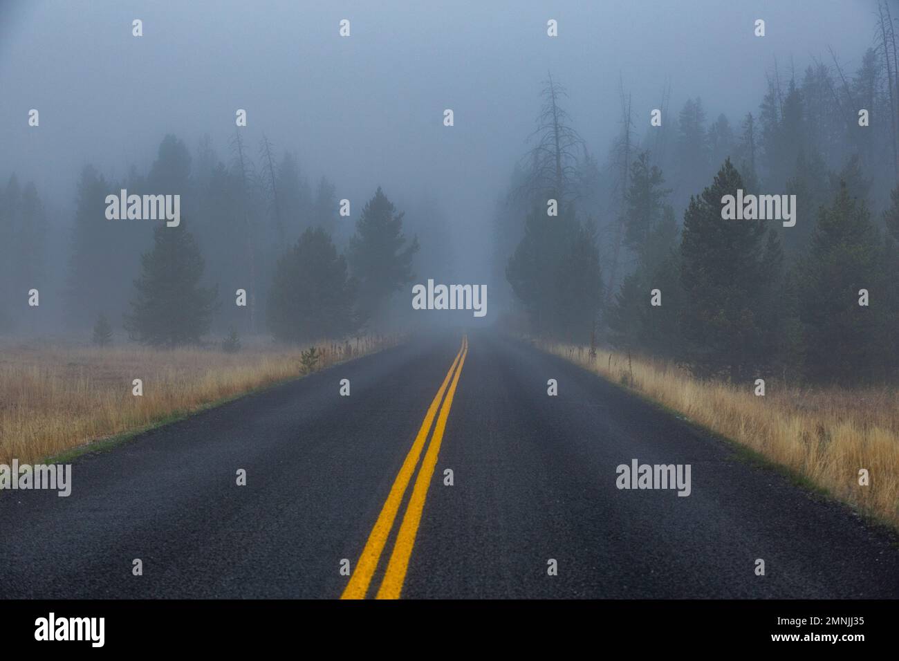 USA, Idaho, Stanley, die doppelt gelb eingerahmte Autobahn führt in nebligen Wald Stockfoto