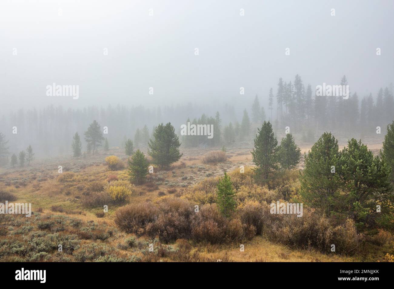 USA, Idaho, Stanley, Foggy Mountain Scene Stockfoto