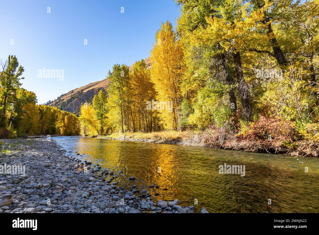USA, Idaho, Hailey und Big Wood River im Herbst Stockfoto