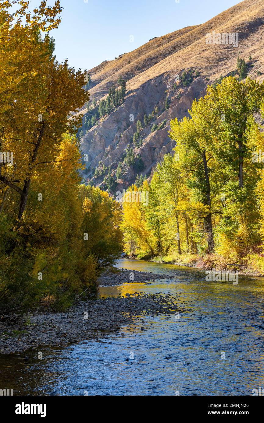 USA, Idaho, Hailey und Big Wood River im Herbst Stockfoto