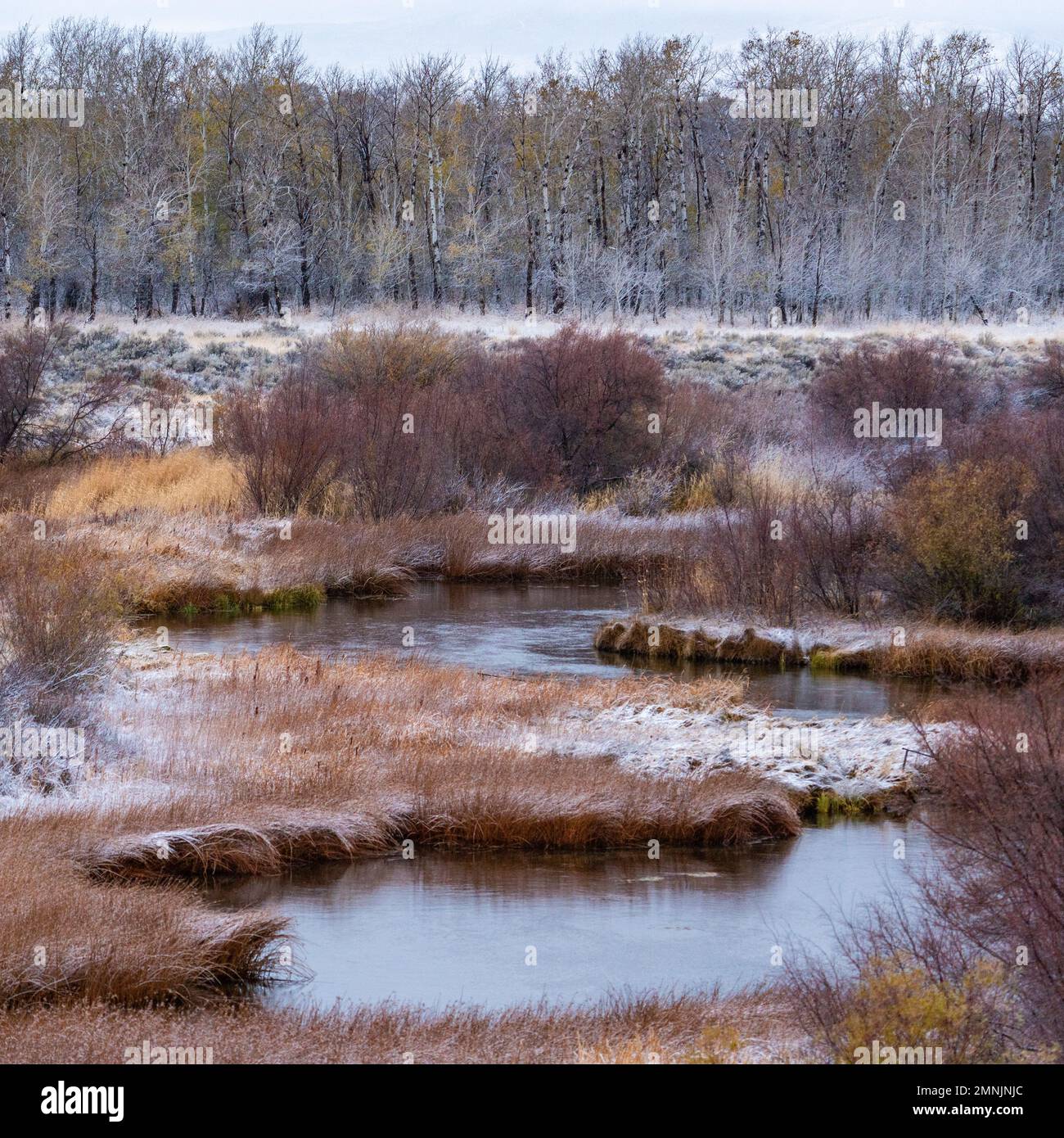 USA, Idaho, Bellevue, saisonaler Landschaftswechsel Stockfoto
