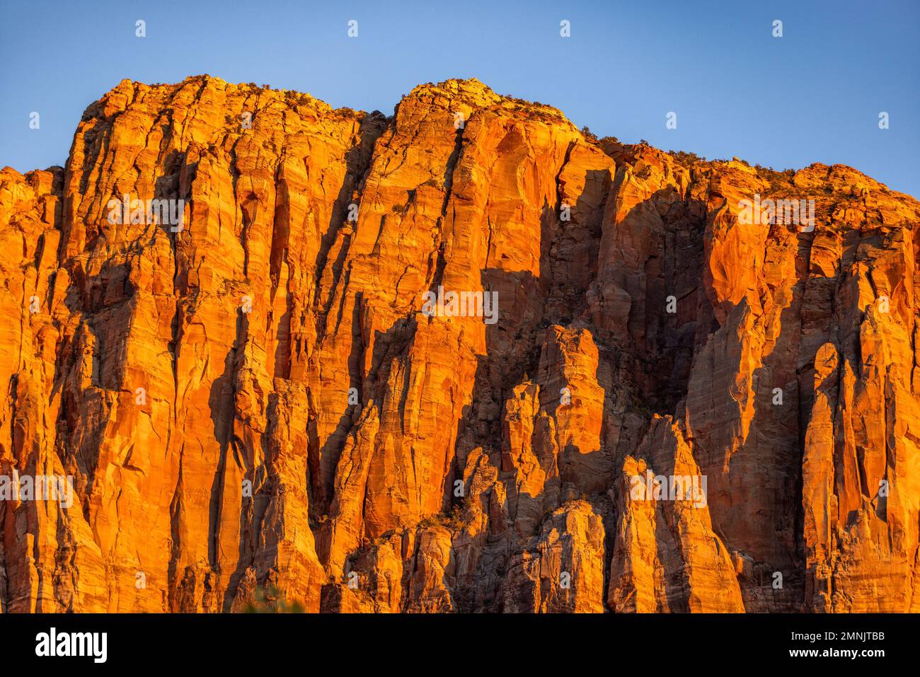 USA, Utah, Springdale, rote Klippen bei Sonnenuntergang im Zion-Nationalpark Stockfoto