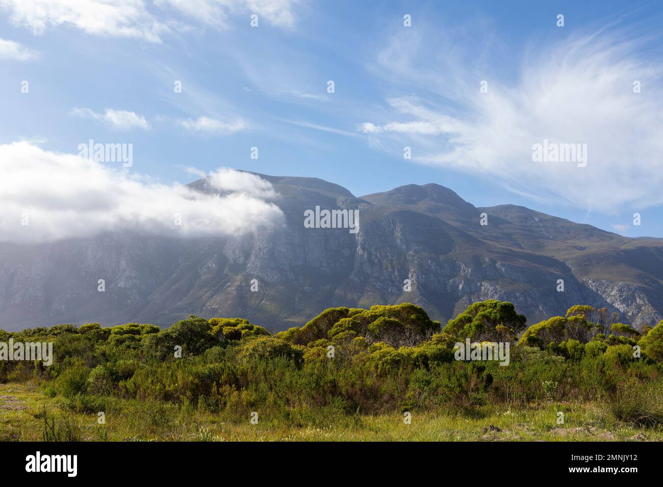 Südafrika, Stanford, Klein-Gebirge und grünes Laub Stockfoto