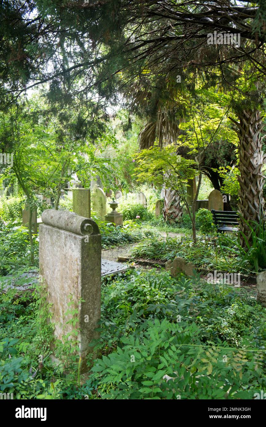 Alter Kirchenfriedhof mit üppigem Laub Stockfoto