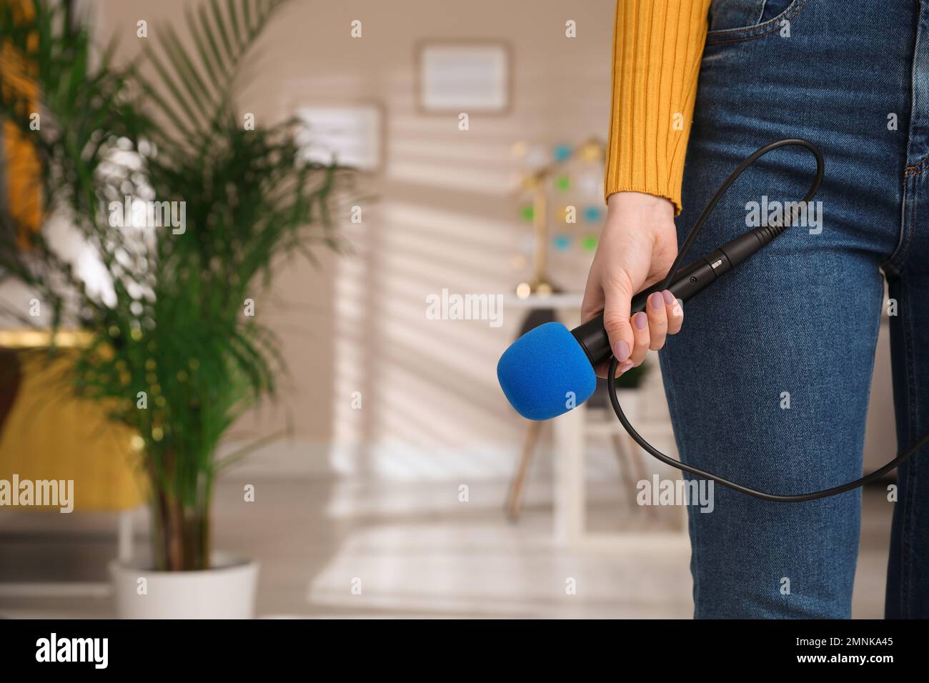 Professioneller Journalist mit modernem Mikrofon im Zimmer, Nahaufnahme Stockfoto