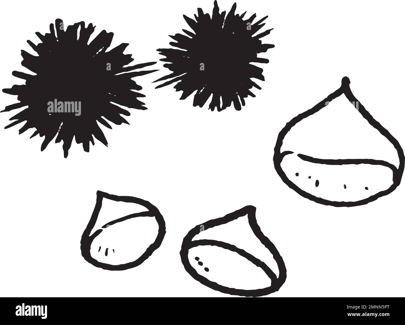 Handgezeichnete Strichzeichnung von Kastanien. Japanische Illustration ...
