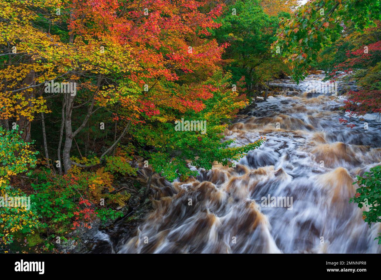 Der Sable River mit Herbstlaub, Nova Scotia, Kanada. Stockfoto