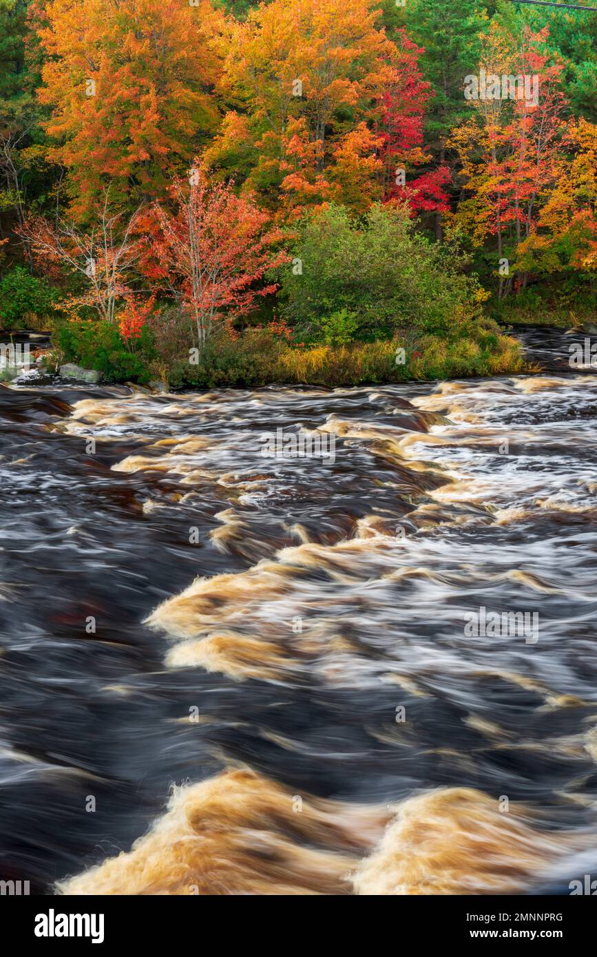 Der Sable River mit Herbstlaub, Nova Scotia, Kanada. Stockfoto