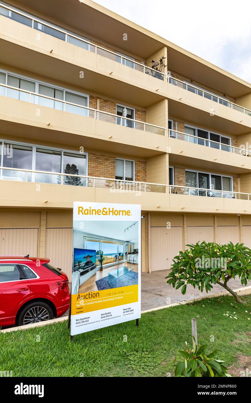 Apartment-Einheit zum Verkauf durch Auktion, makler-Marketing-Board draußen, Mona Vale Beach Sydney, NSW, Australien Stockfoto