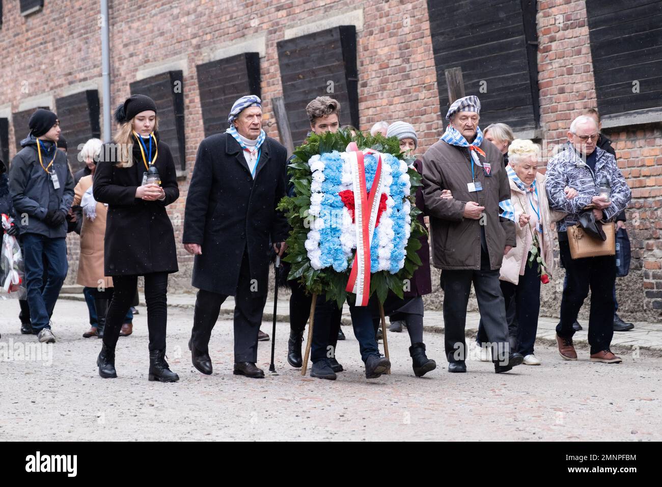 Oswiecim, Polen. 27. Januar 2023. Eine Gruppe von Auschwitz-Überlebenden und anderen Menschen gesehen, die zur Todesmauer im Hof an der Seite von Block 11 gingen und den Kranz hielten. Zum 78. Jahrestag der Befreiung von Auschwitz-Birkenau, dem ehemaligen deutschen konzentrations- und Vernichtungslager. Der Jahrestag wurde im ehemaligen Lager Auschwitz und Auschwitz II-Birkenau organisiert. Die Auschwitz Survivors waren bei den Feierlichkeiten zum Befreiungsjubiläum anwesend. (Kreditbild: © Wojciech Grabowski/SOPA Images via ZUMA Press Wire) NUR REDAKTIONELLE VERWENDUNG! Nicht für den kommerziellen GEBRAUCH! Stockfoto