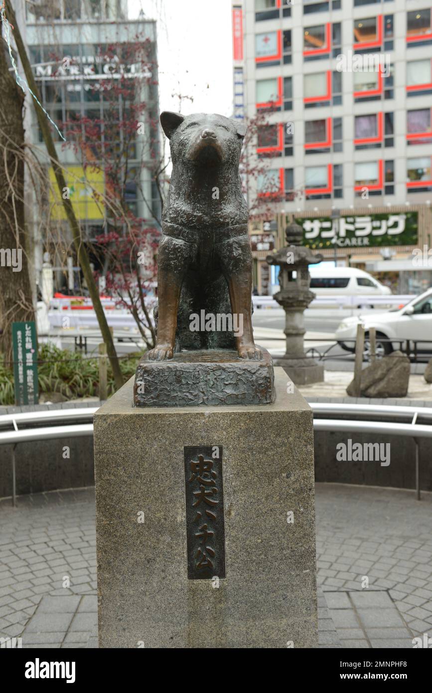 Hachikō-Gedenkstatue in der Nähe des Bahnhofs Shibuya, Tokio, Japan. Stockfoto