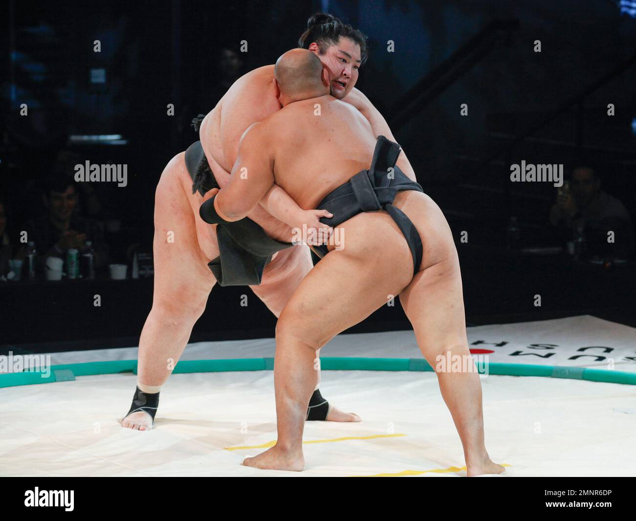 World champion sumo wrestlers Yama Ryuichi, left, and Byamba Ulambayar
