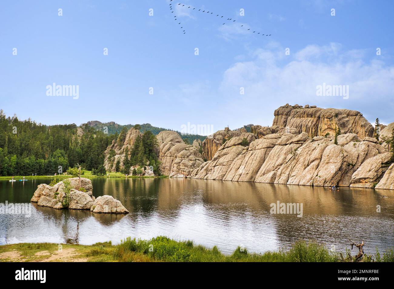 Der Sylvan Lake ist umgeben von Hügeln und Bäumen in der Ferne, die im Sommer von der sonnigen Landschaft South Dakotas umgeben sind Stockfoto