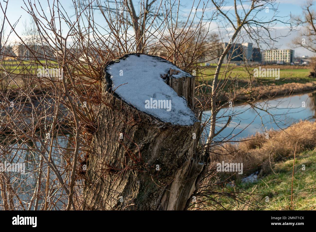 Zürich, Schweiz, 19. Januar 2023 Landschaftslandschaft mit einem kleinen Fluss am internationalen Flughafen Stockfoto