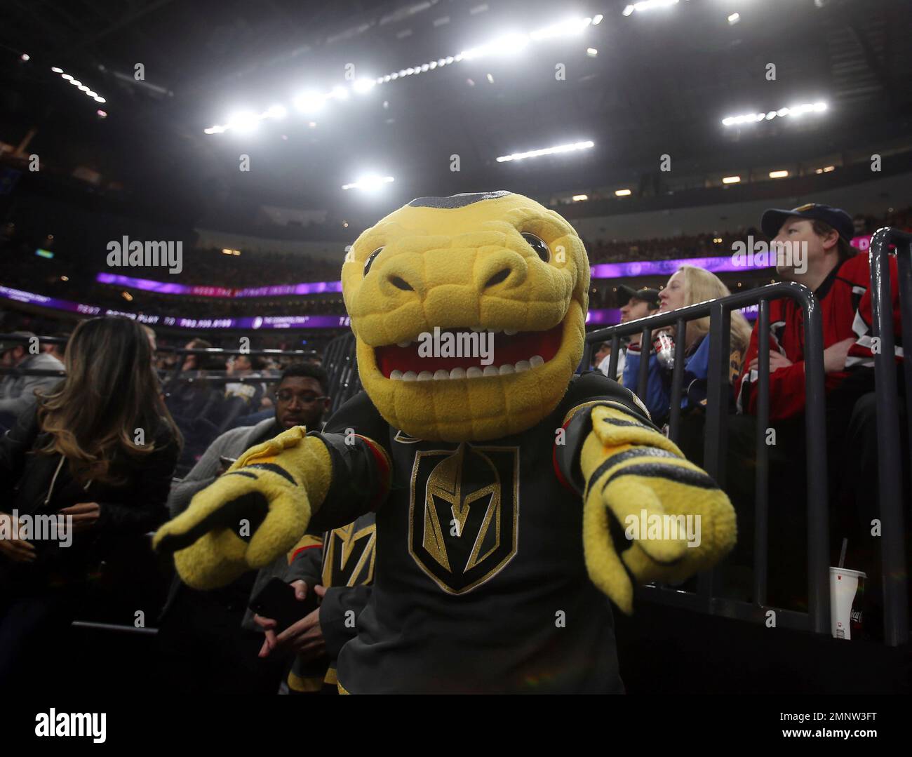 Vegas Golden Knights mascot Chance poses for photos during the third period of an NHL hockey game against the Vancouver Canucks Friday, Feb. 23, 2018, in Las Vegas. The Golden Knights defeated the Canucks 6-3. (AP Photo/Isaac Brekken) Stockfoto