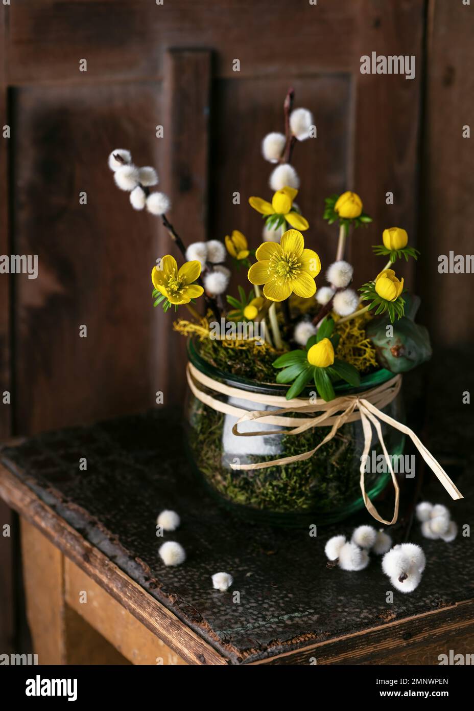 Frühlingsdekoration gelber Winteraconitblüten in einem Glasgefäß mit Weidenkatzen. Rustikales Dekorkonzept. Speicherplatz kopieren. (Eranthis hyemalis) Stockfoto