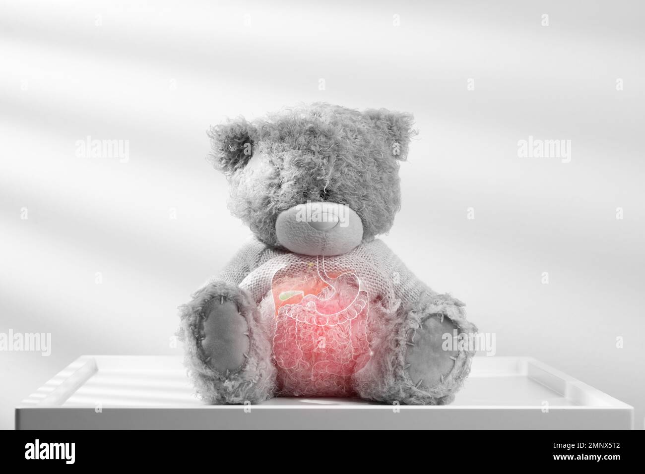 Die Abbildung der inneren Organe befindet sich auf dem Teddybär vor dem grauen Hintergrund. Stockfoto