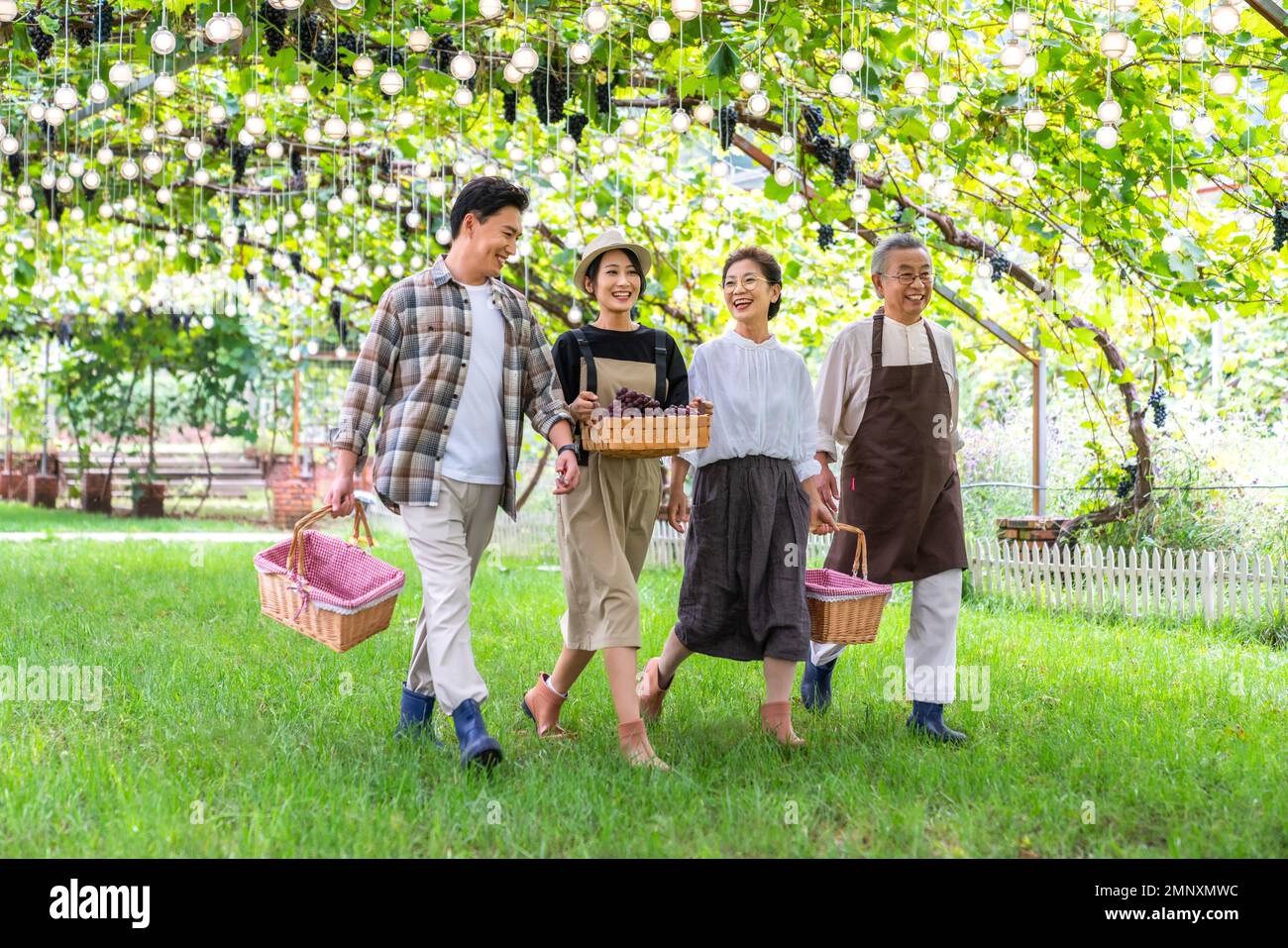 Die ganze Familie pflückt Trauben im Obstgarten Stockfoto