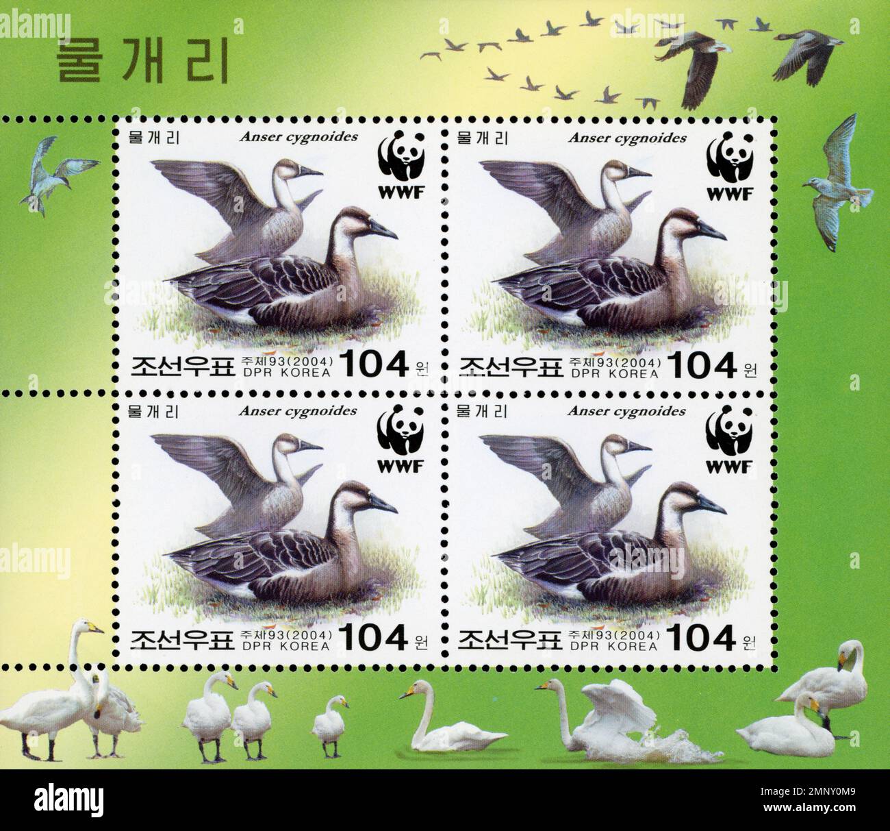 Nordkorea 2004 Briefmarkenbogen mit Schwanengans (Anser cygnoides) mit WWF-Logo, Satz mit vier 104 Won-Briefmarken auf dekorativem Hintergrund. Stockfoto