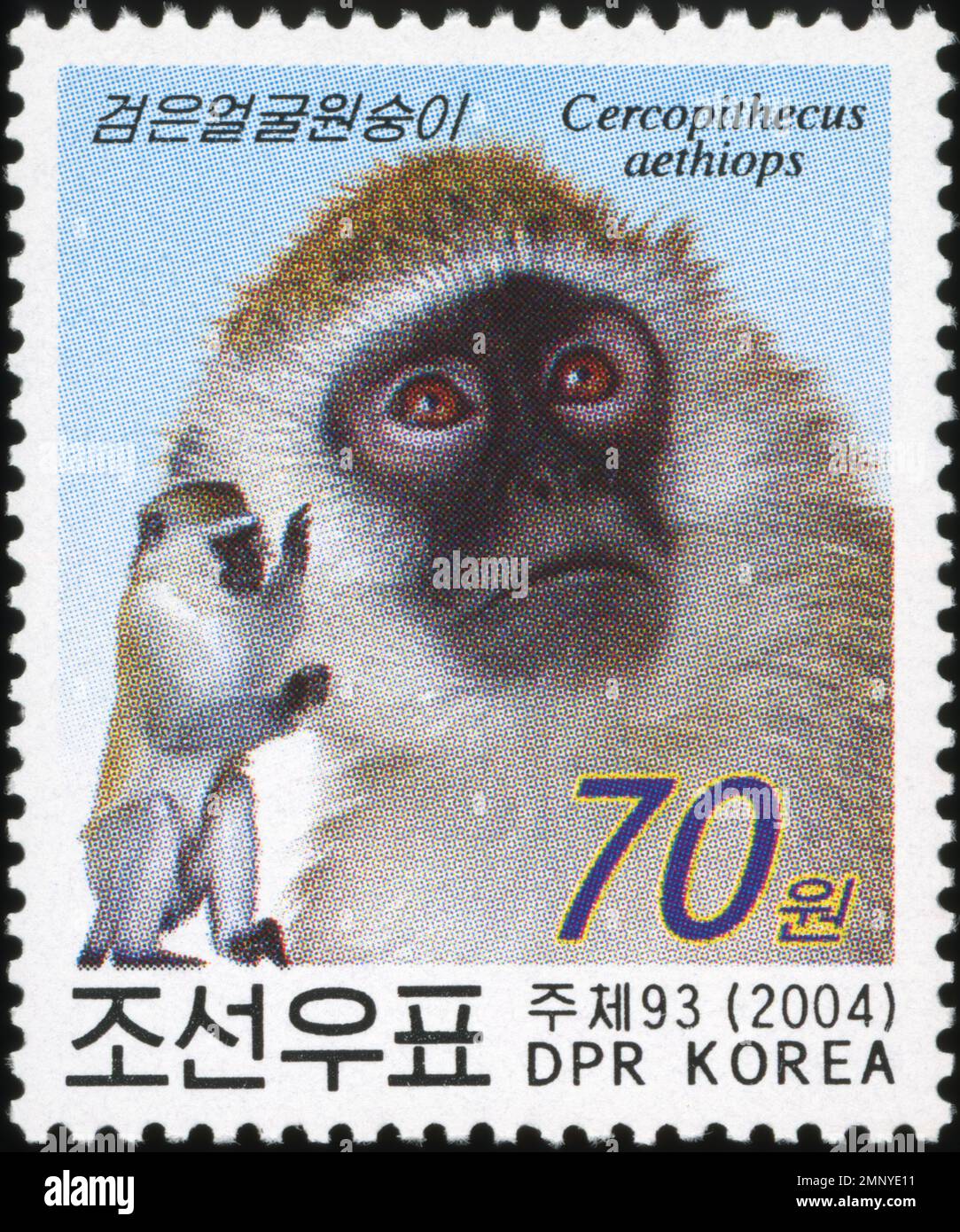 Nordkoreanische Briefmarke von 2004 mit einem Grivet-Affen (Cercopithecus aethiops) mit einem Nennwert von 70 Won. Stockfoto