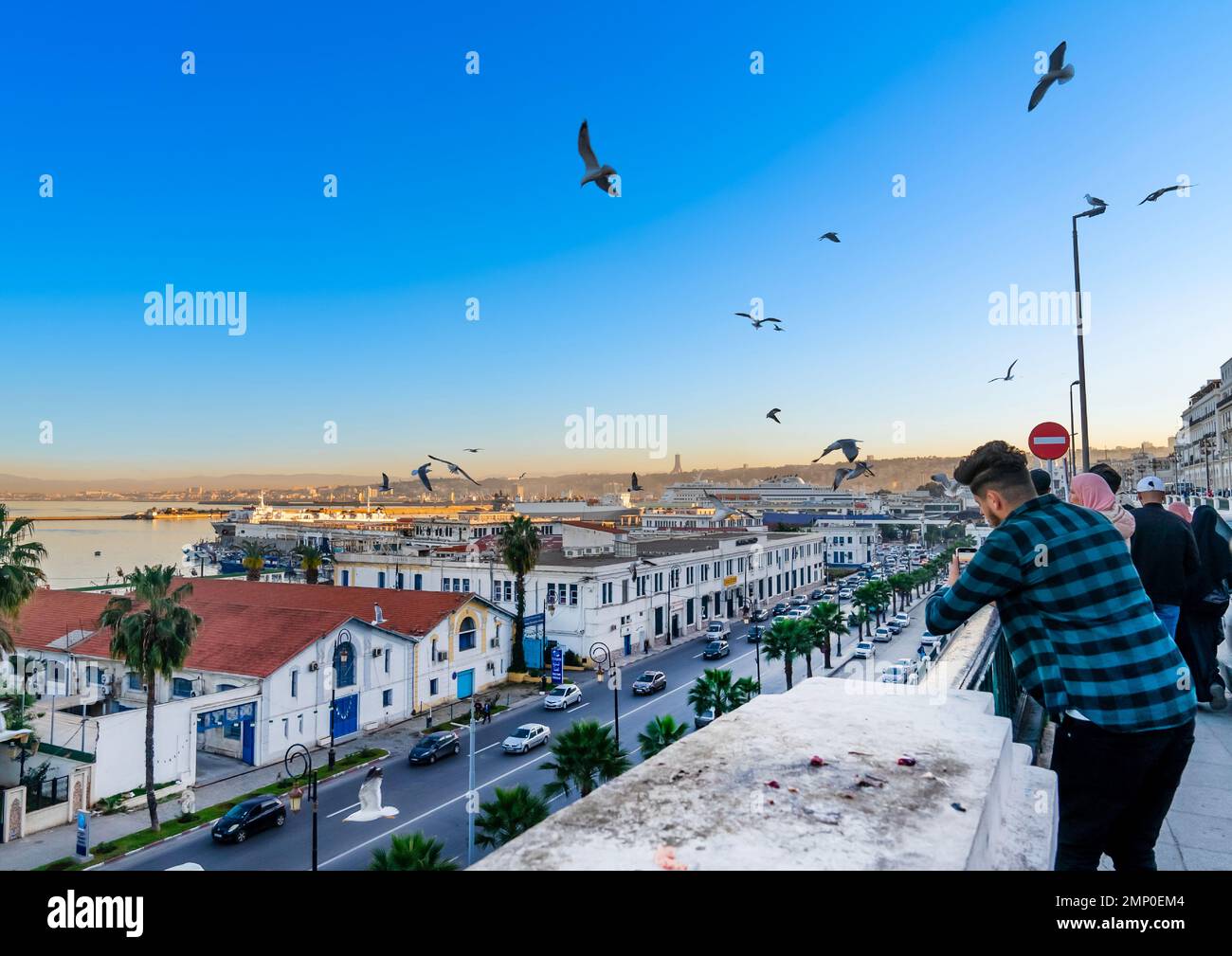 Algerischer Mann, der Seemöwen in der Nähe des Hafens, Nordafrika, Algier, Algerien fotografiert Stockfoto